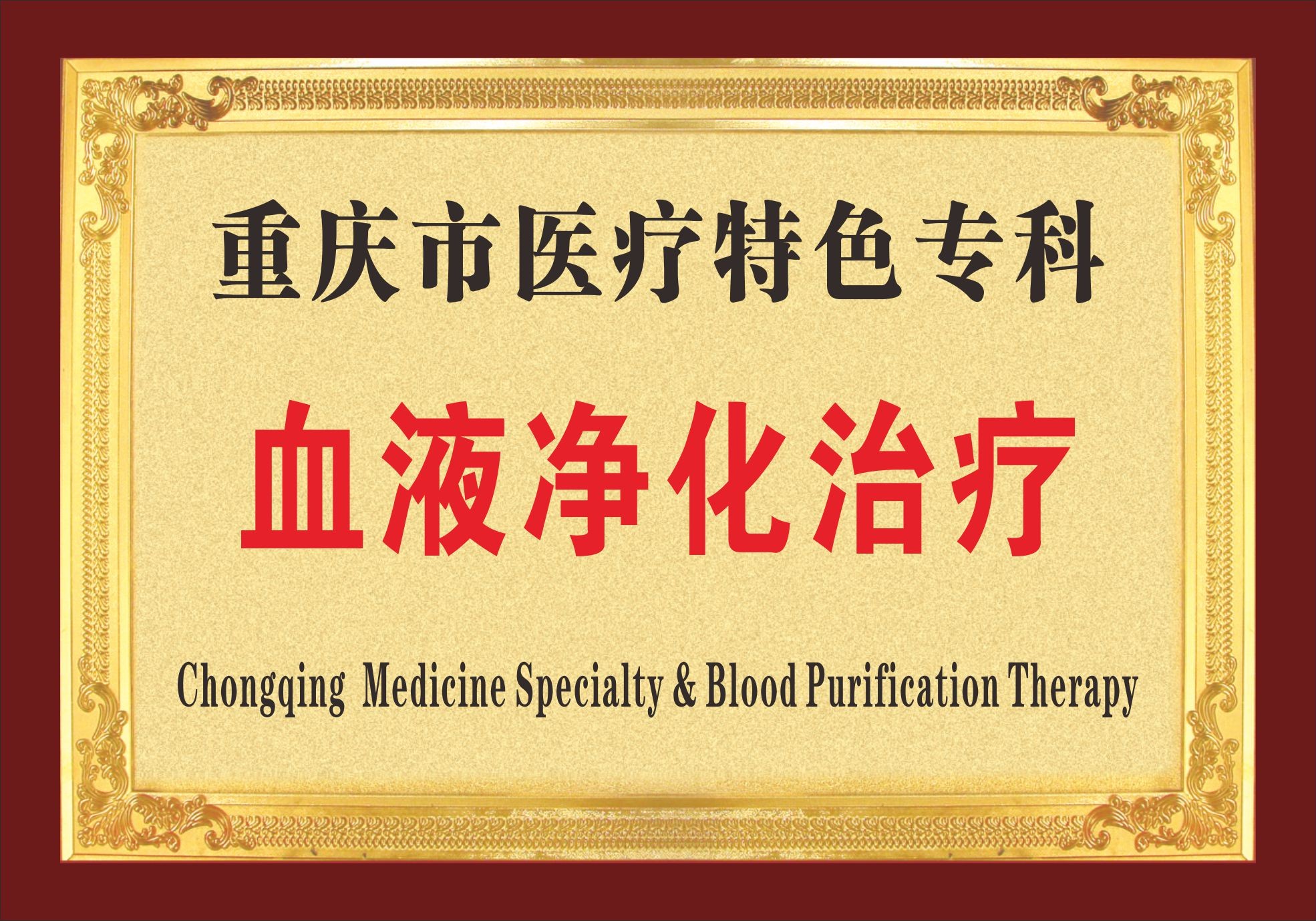 重庆市医疗特色专科血液净化治疗奖牌